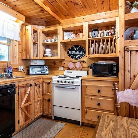 Quaint & Secluded Near Dollywood With Bbq&Hot Tub Villa Pigeon Forge Buitenkant foto
